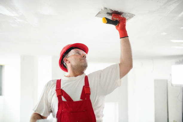 Best Mold Removal for HVAC Installations  in Bridgeport, TX
